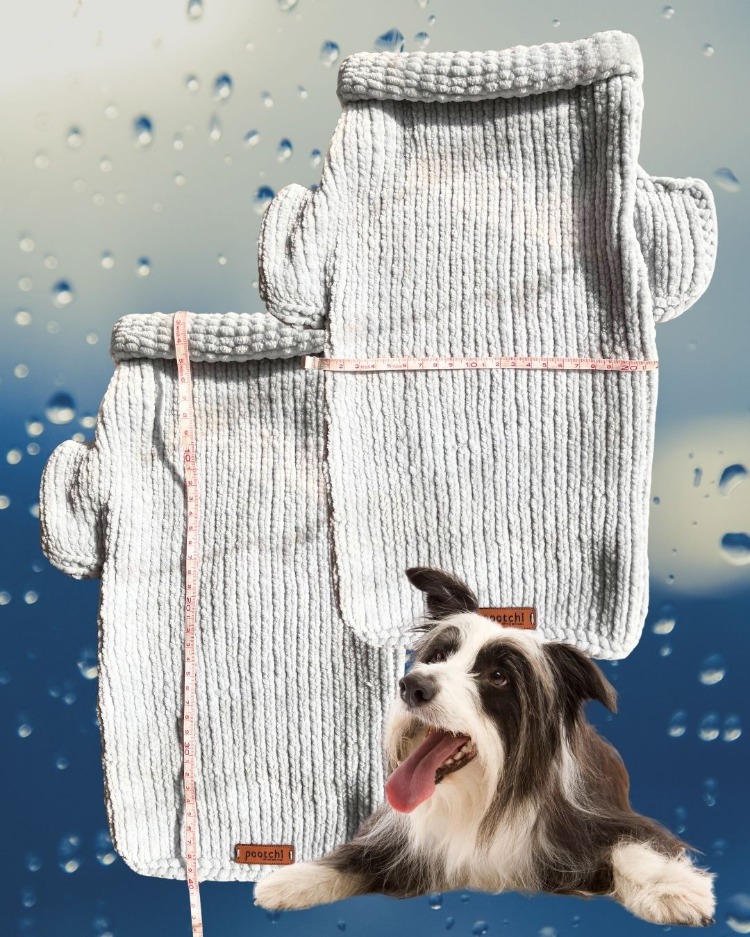 Pootchi PEM033 - Kedi & Köpek Kazağı