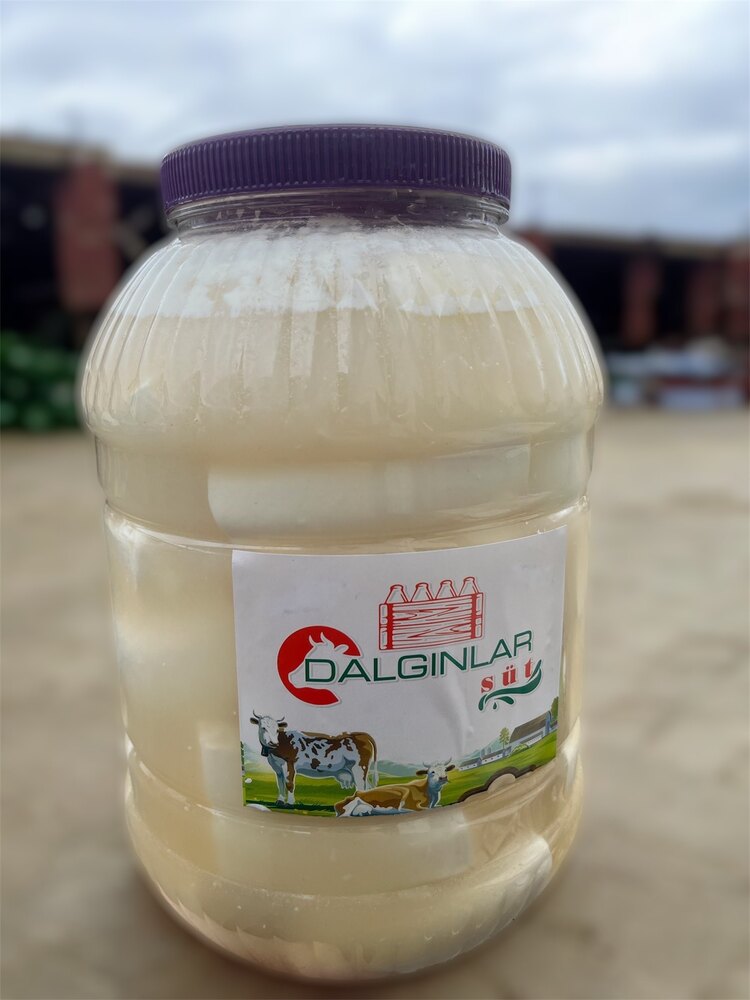 Dalgınlar Tam Yağlı Salamura İnek Peyniri 3kg