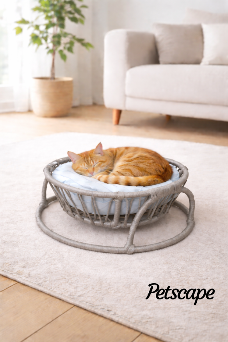 Petscape Yumuşak Minderli Hasır Kedi Köpek Yatağı Doğal Rattan Tasarım