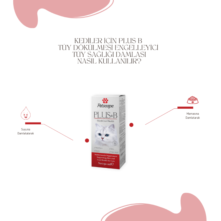 Plus B Kedi Tüy Vitamini Biotin Çinko Destekli Tüy Dökülmesini Azaltan Damla 50ml