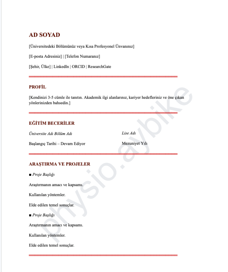 Akademik CV Şablonu 2 | Google Docs Düzenlenebilir