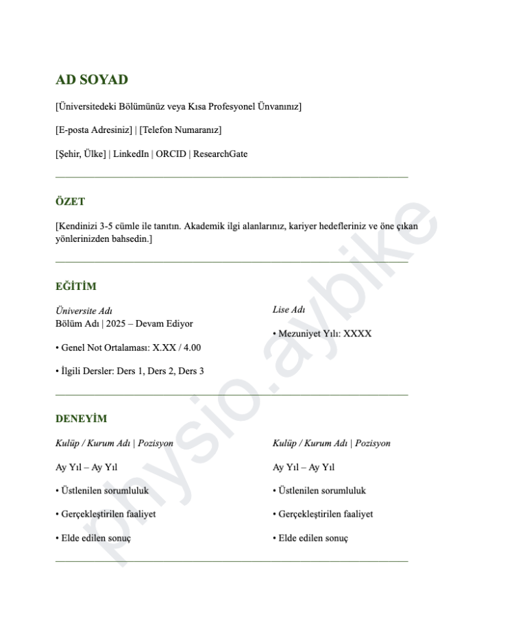 Akademik CV Şablonu 3 | Google Docs Düzenlenebilir