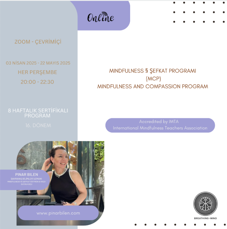 Mindfulness Ve Şefkat Programı 16. Dönem