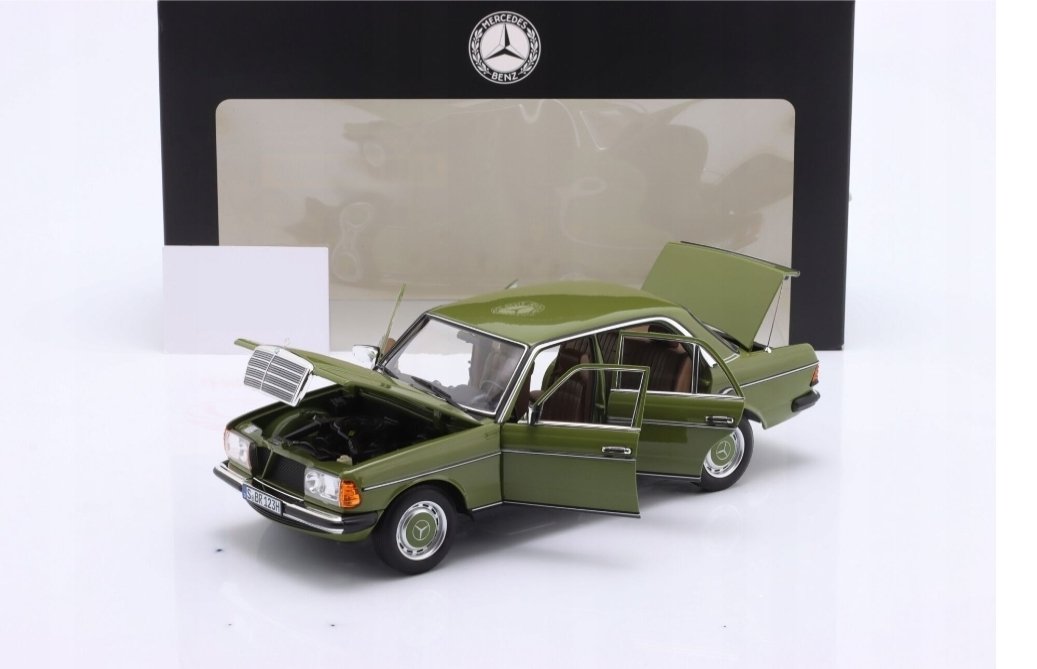 MERCEDES BENZ E CLASS 200 W123 AGAVE GREEN
1976