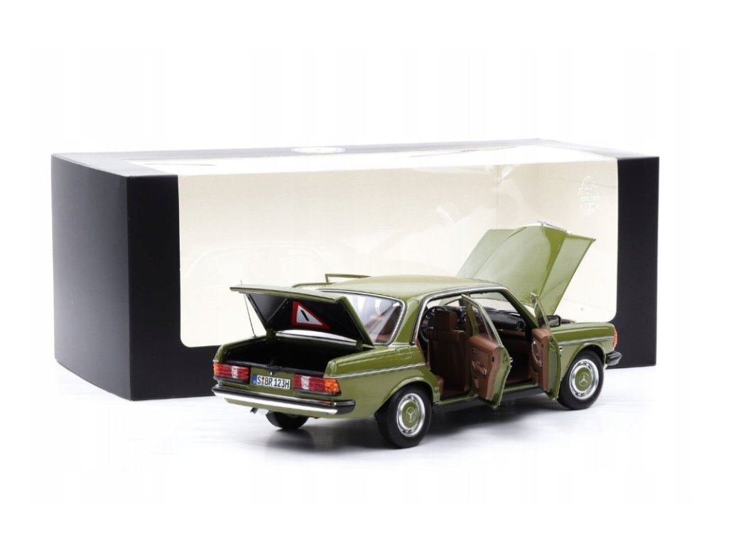 MERCEDES BENZ E CLASS 200 W123 AGAVE GREEN
1976