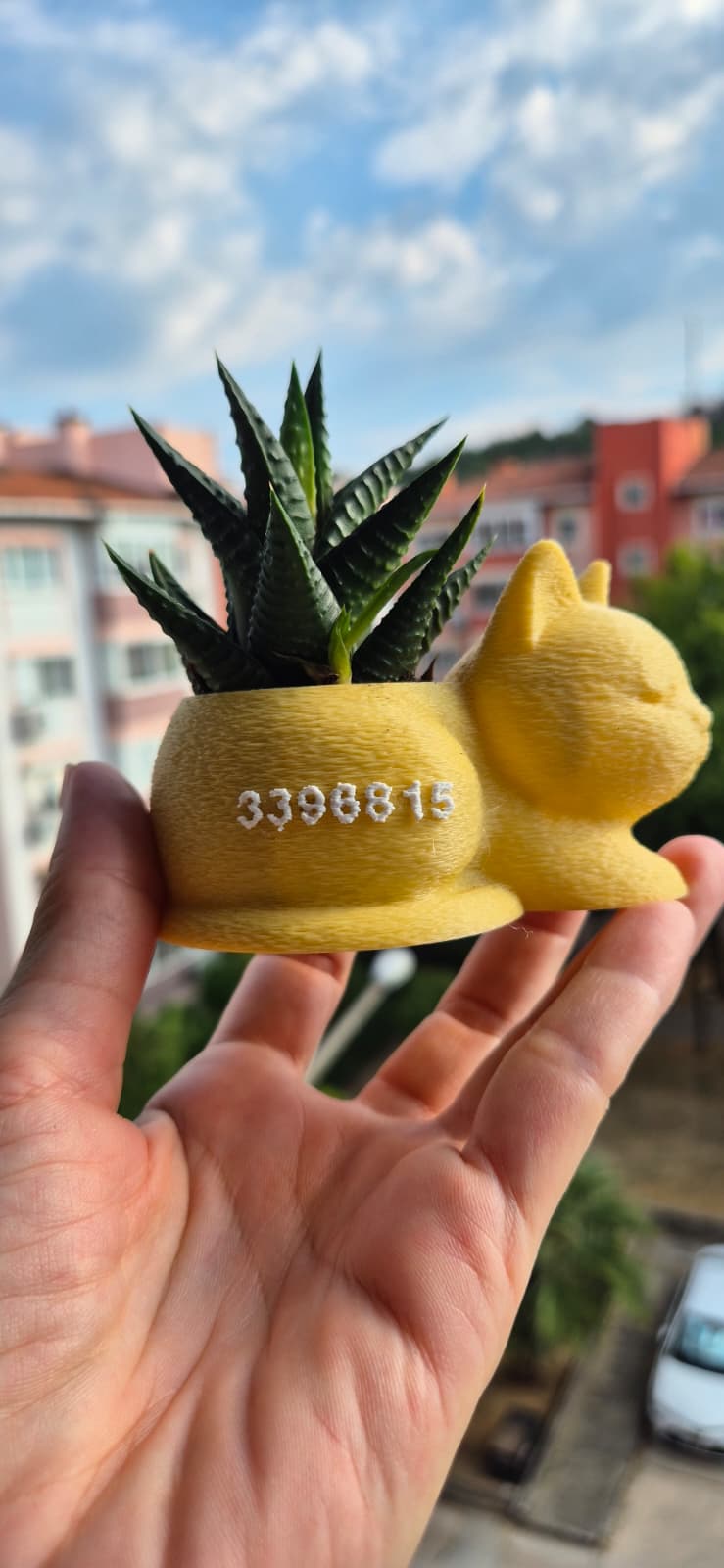 Mini Kedi Saksı