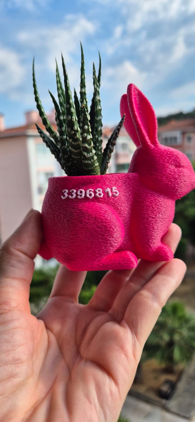 Mini Tavşan Saksı