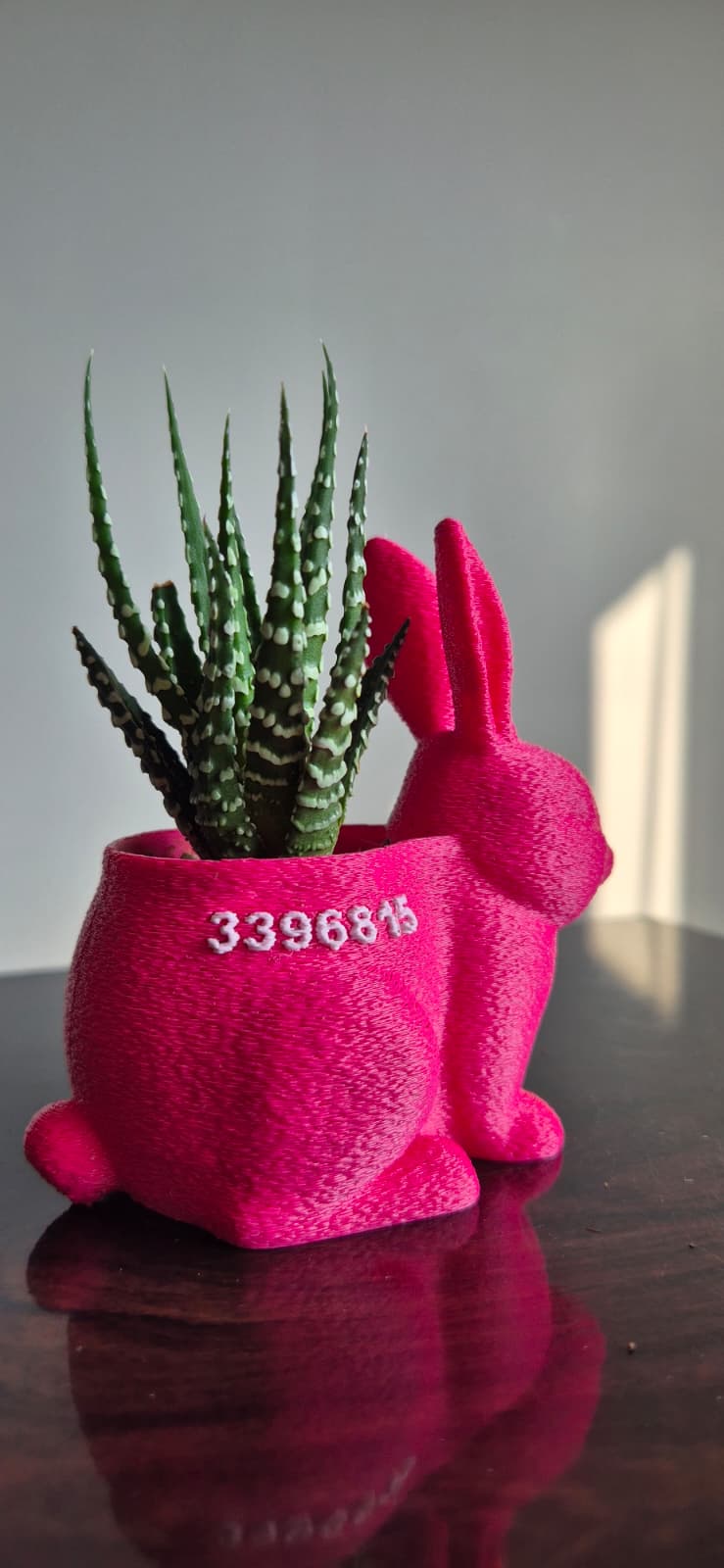 Mini Tavşan Saksı