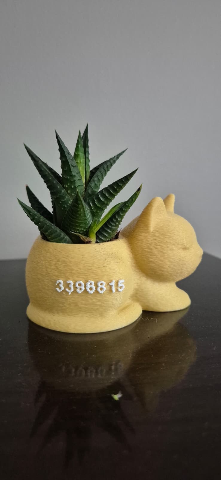 Mini Kedi Saksı