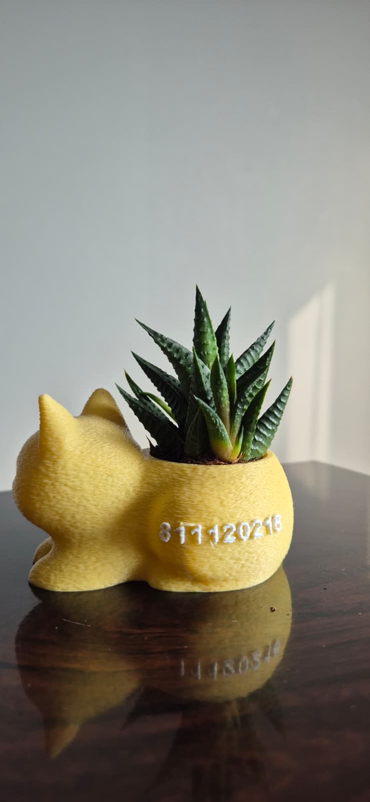 Mini Kedi Saksı