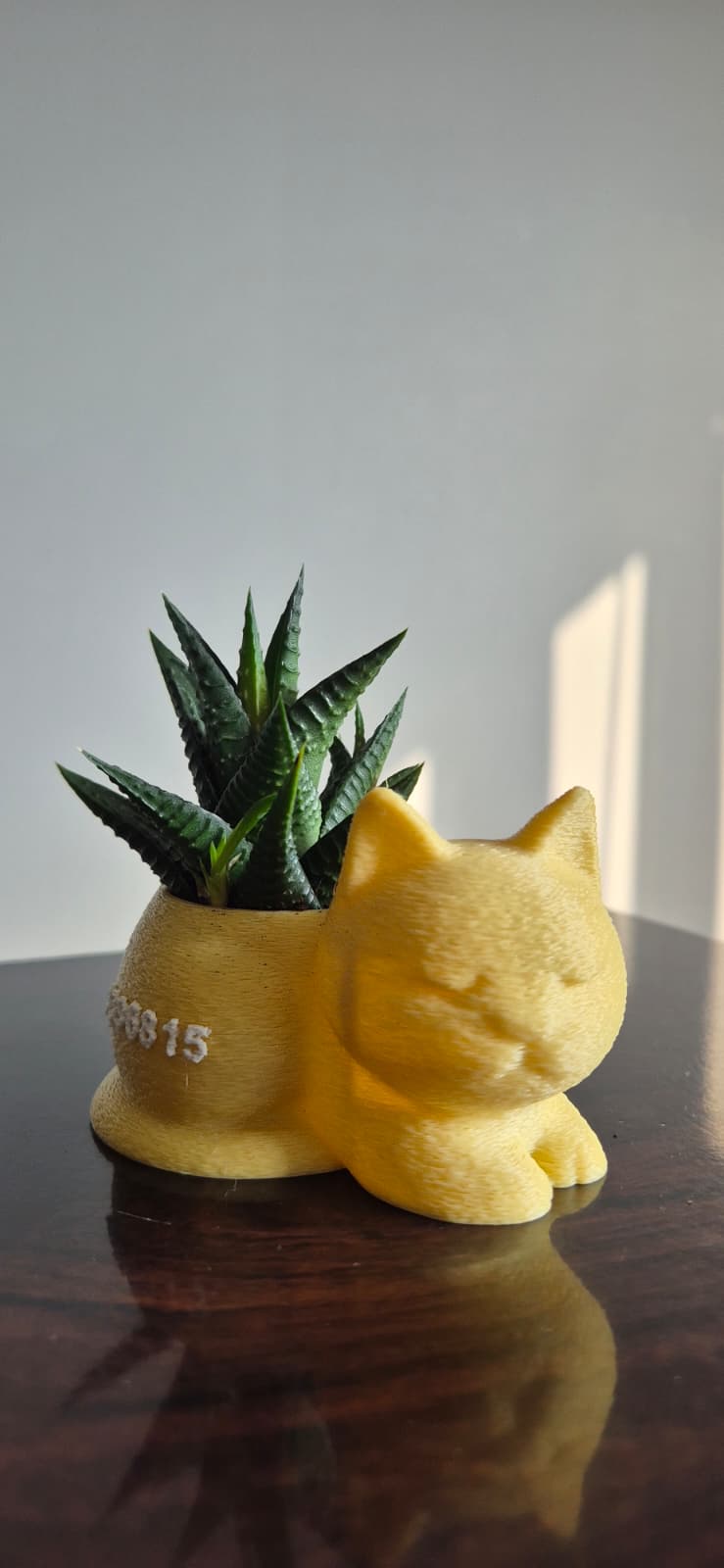 Mini Kedi Saksı