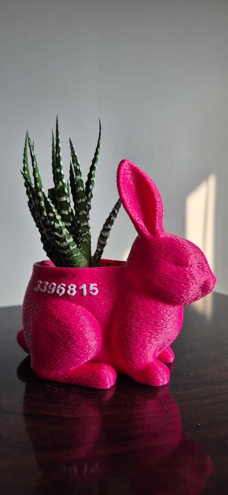 Mini Tavşan Saksı