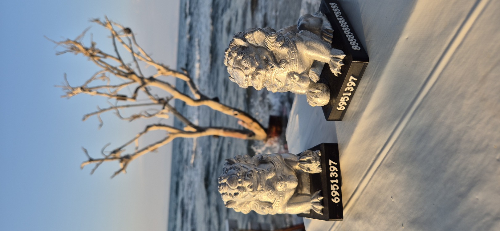 Foo Dogs Feng Shui