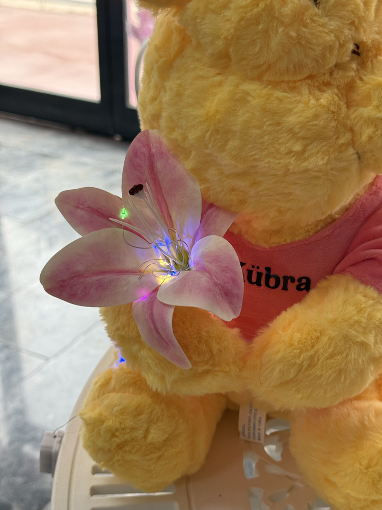 Lilyumlu isim pooh