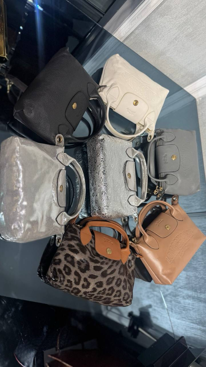 Longchamp new