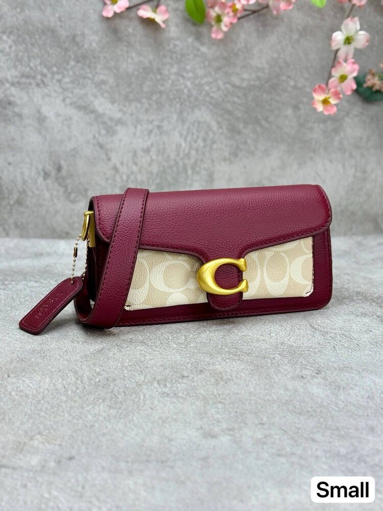 Coach mini