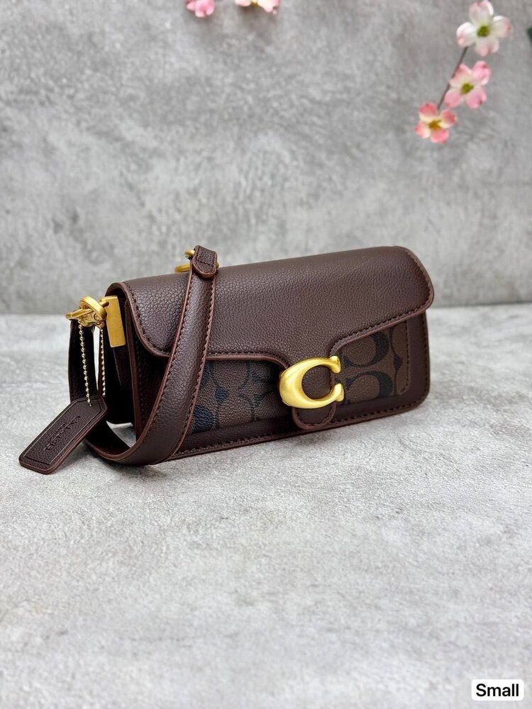 Coach mini