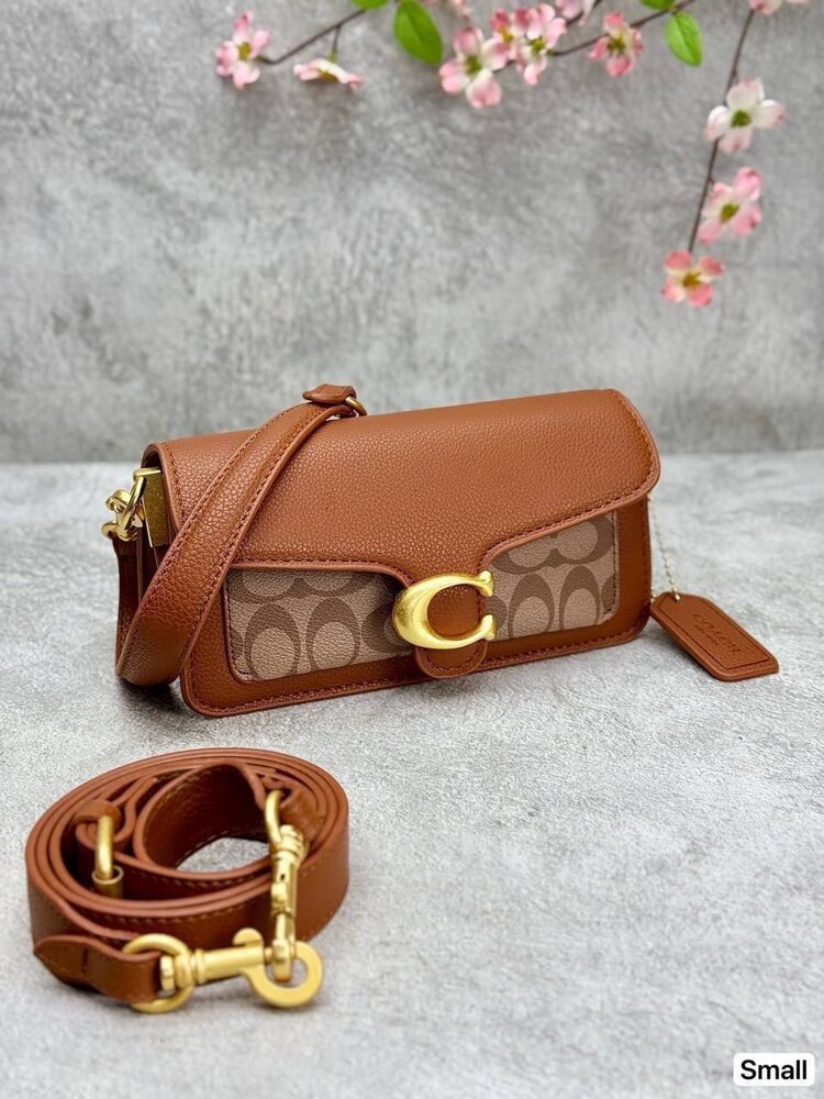 Coach mini