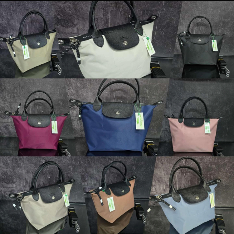 Longchamp energy