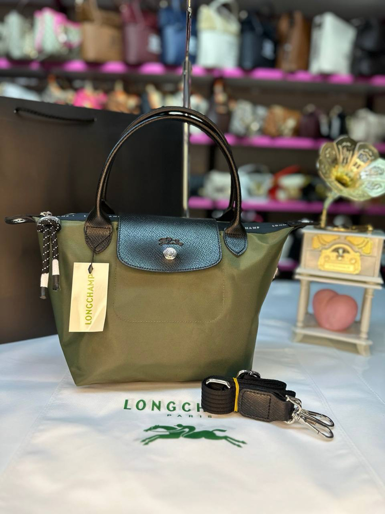 Longchamp energy