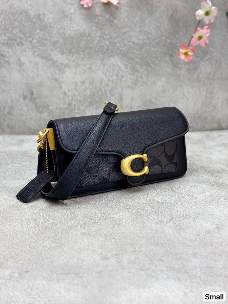 Coach mini