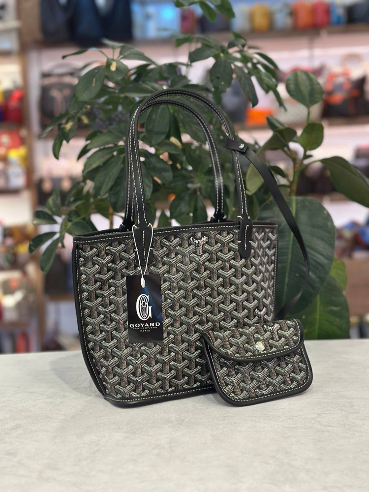 Goyard mini