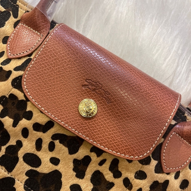 Long leopar