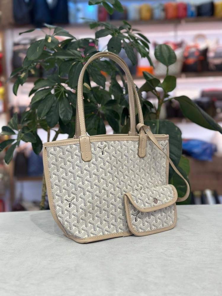 Goyard mini