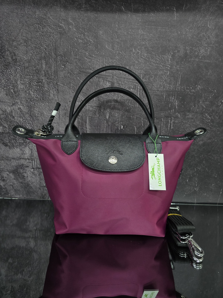 Longchamp energy