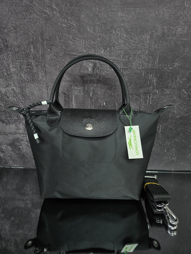 Longchamp energy