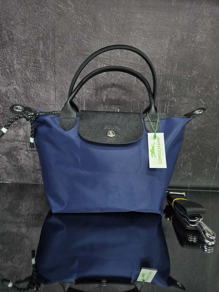 Longchamp energy