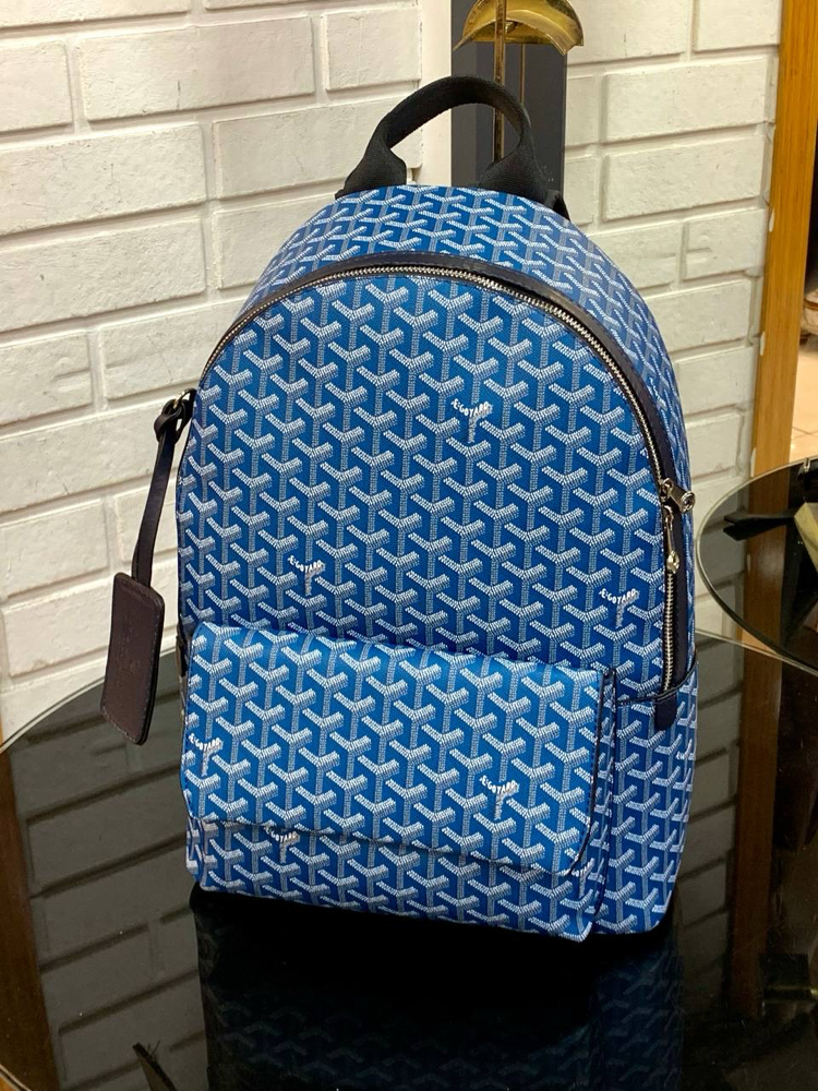 Goyard sırt