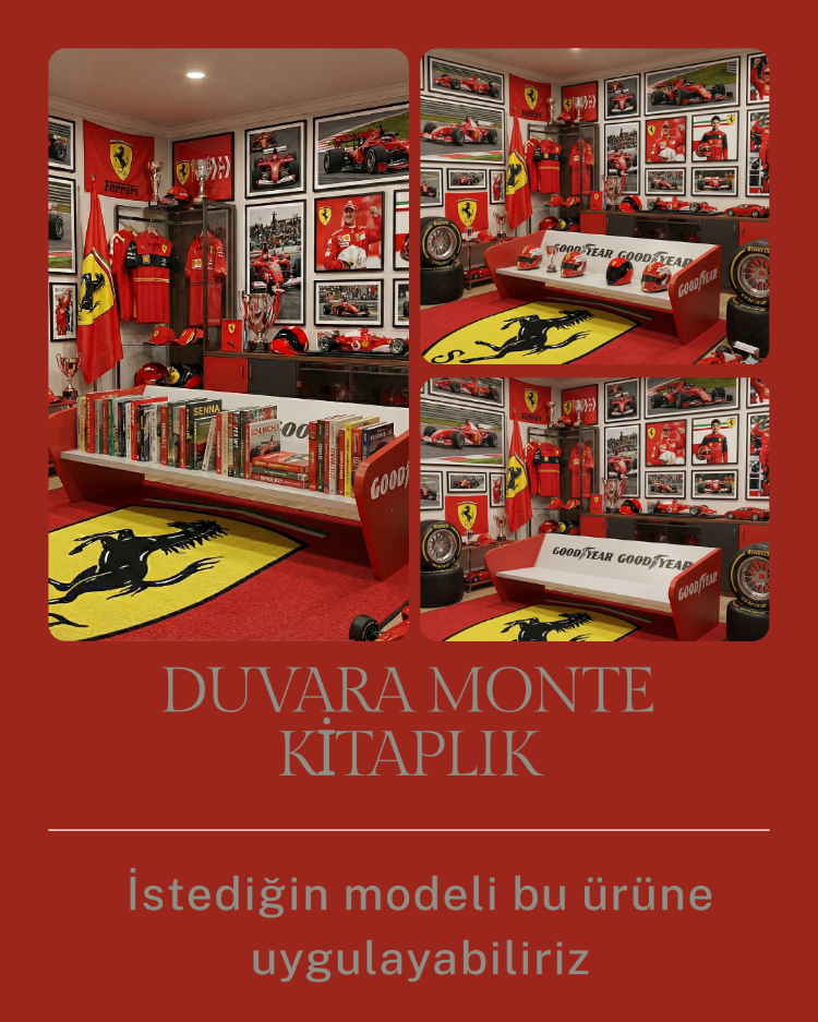 Duvara Monte Kitaplık – Ürün Tipi Açıklaması