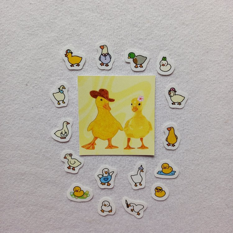 mini duck