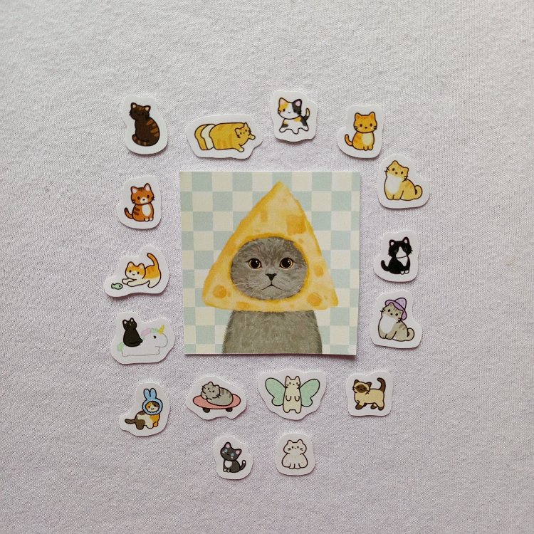 mini cats