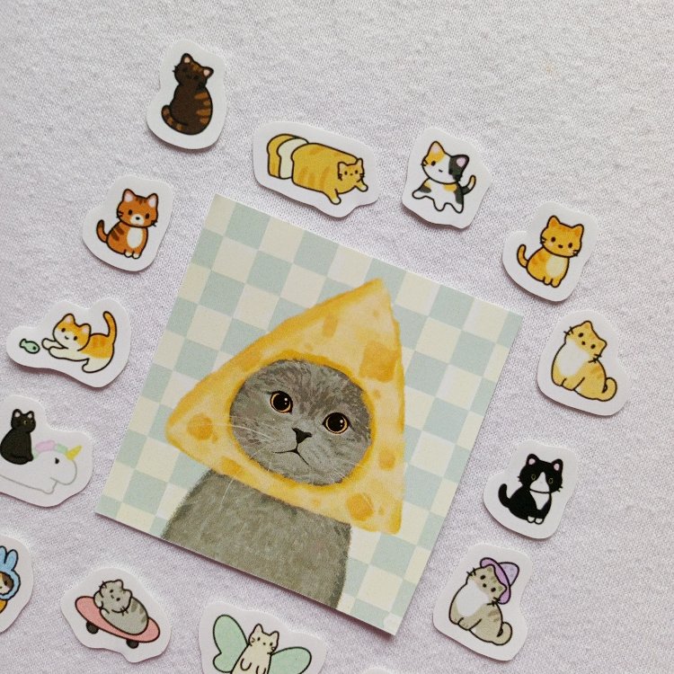 mini cats