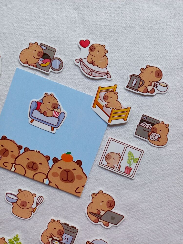 cute capybara