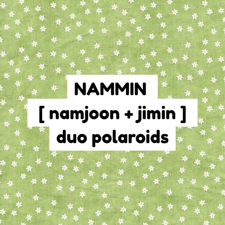 bts nammin duo polaroid