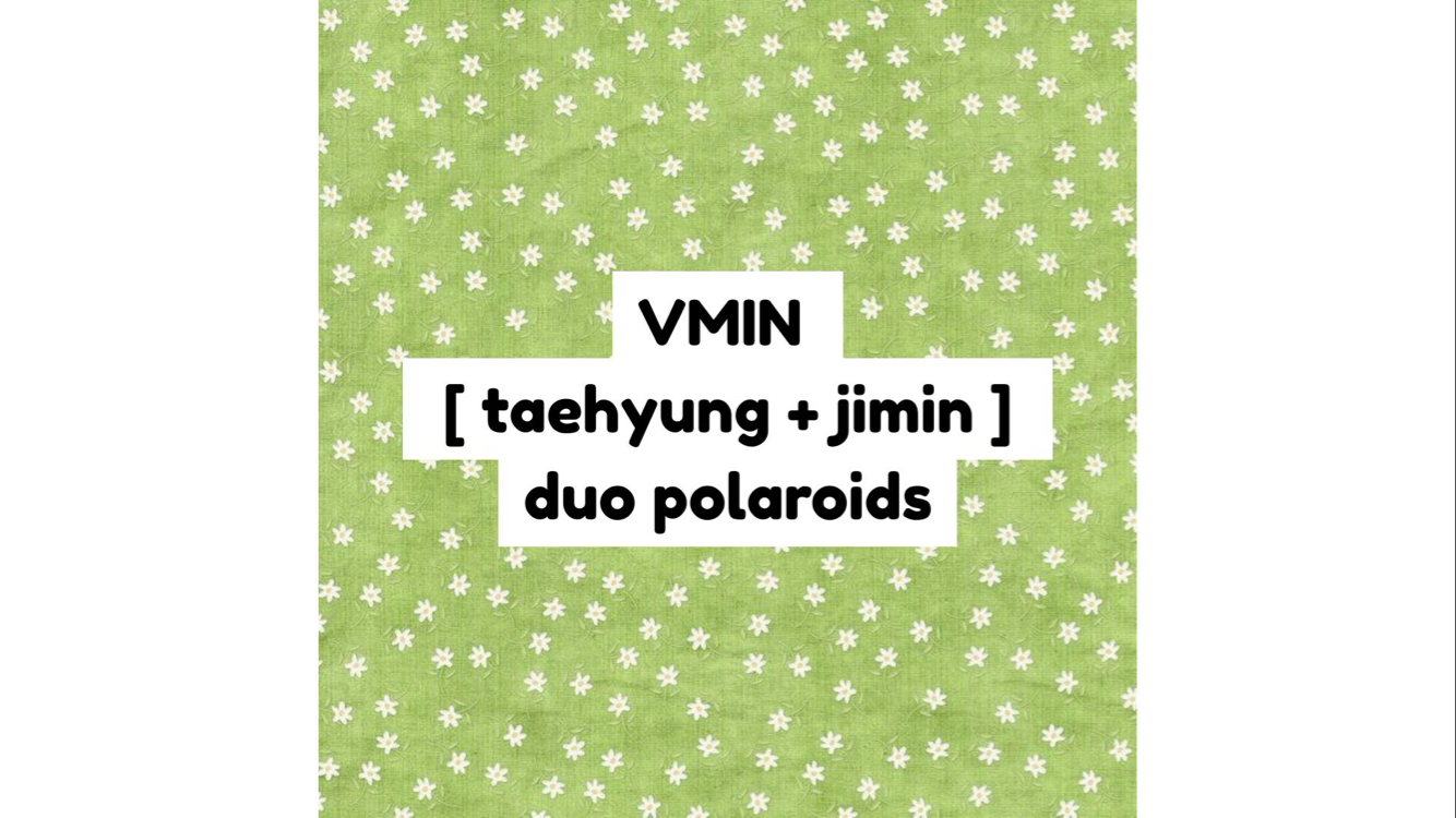 bts vmin duo polaroid