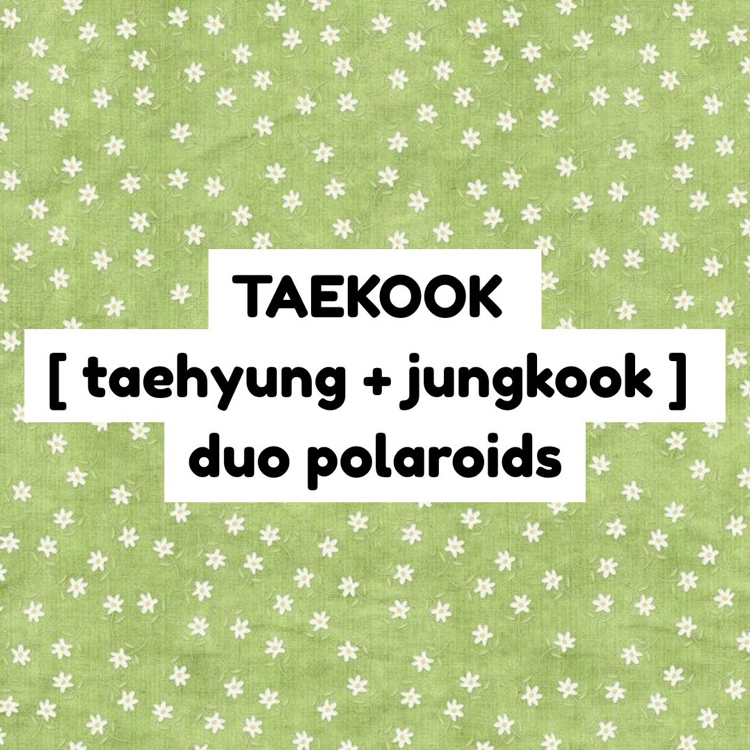 bts taekook duo polaroid