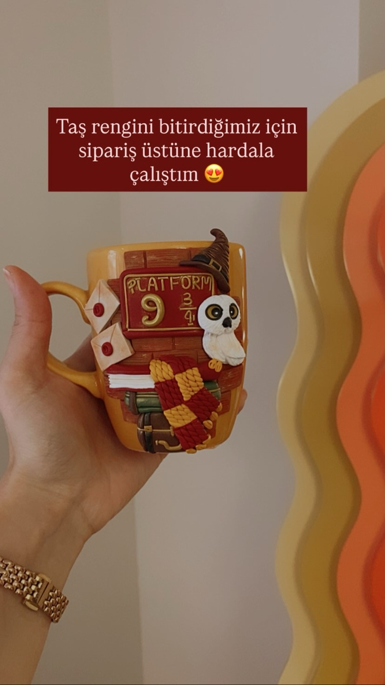 Platform 3/4 hardal mug