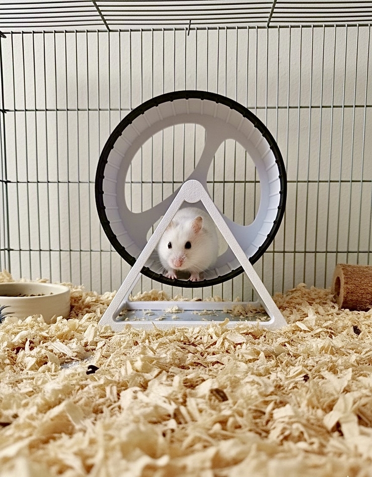 Premium Hamster Egzersiz Çarkı