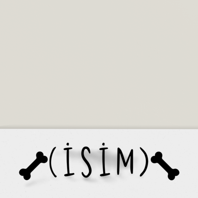 Pet Name Bone Özelleştirilebilir Sticker