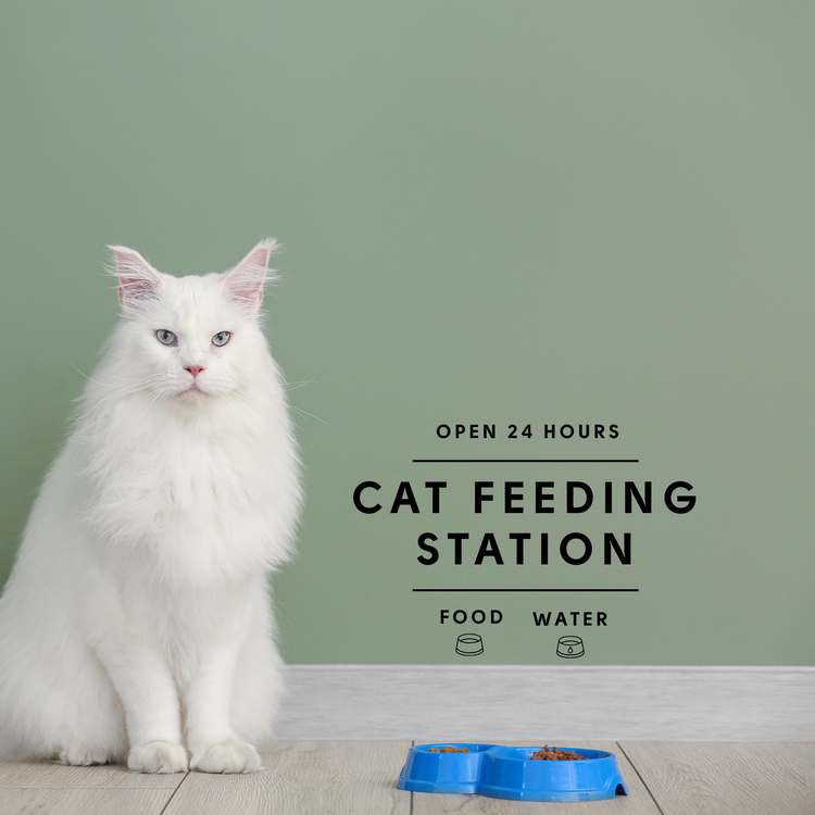 Cat Feeding Station Sticker