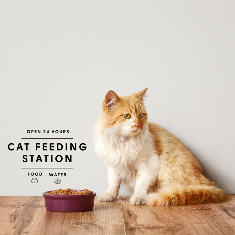Cat Feeding Station Sticker