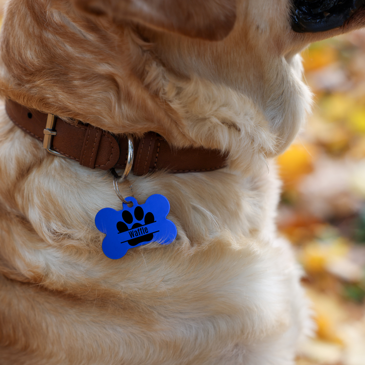 Pet Name Paw Özelleştirilebilir Sticker