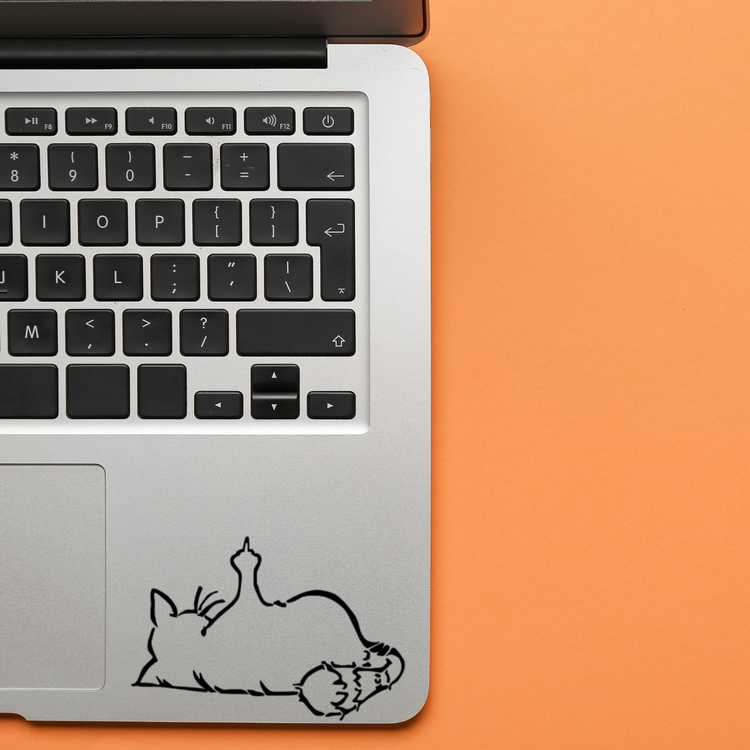 F U Cat Sticker