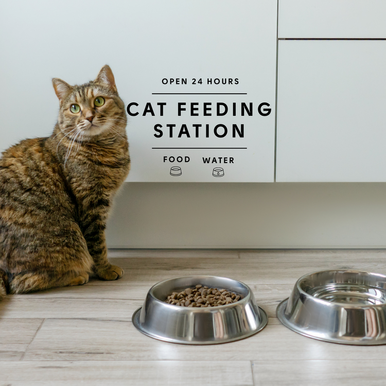 Cat Feeding Station Sticker