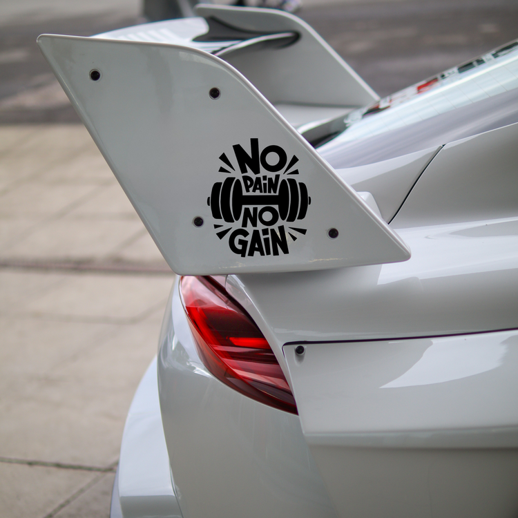 No Pain No Gain Sticker