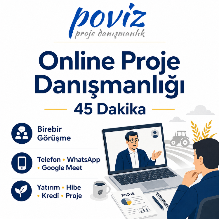 POVİZ Online Proje Danışmanlığı – 45 Dakika